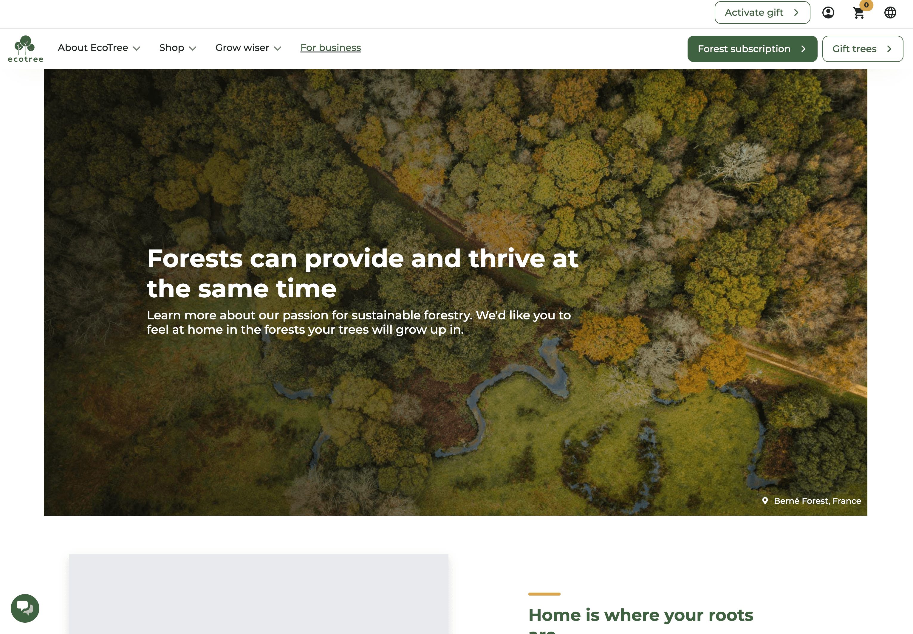 EcoTree Website image 1